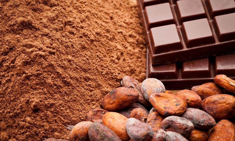 cocoa powder price 1kg