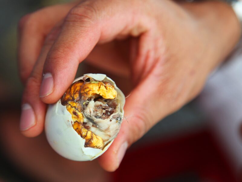 filipino food balut